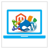 CMS Development